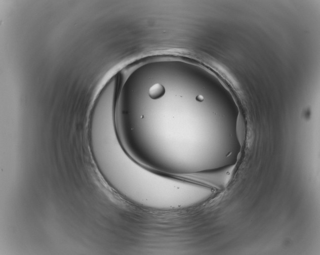 X0000089341332200706221109