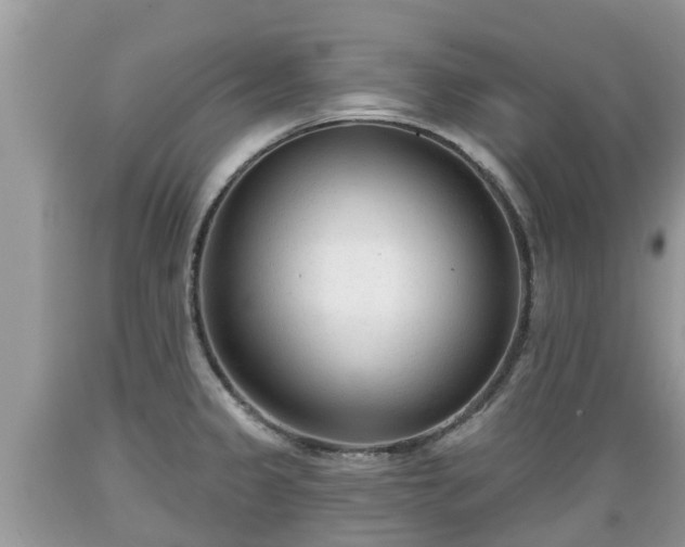 X0000089341333200706221109