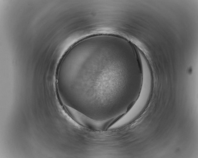 X0000089341334200706221109