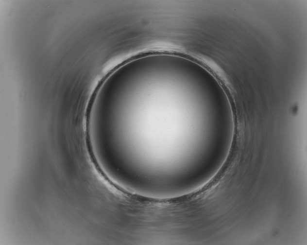 X0000089341335200706221109