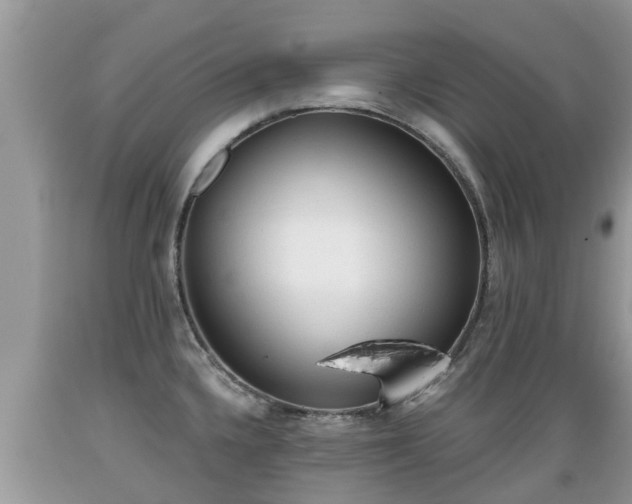 X0000089341336200706221109