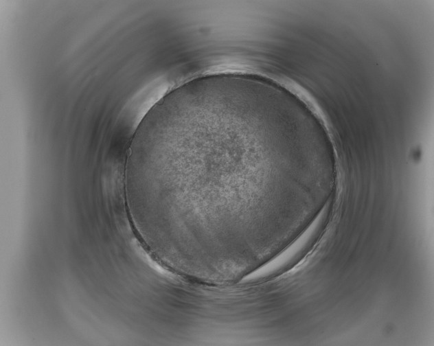 X0000089341337200706221109