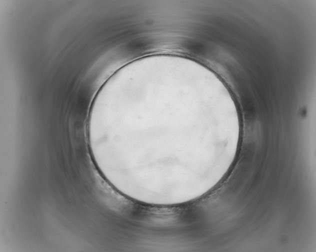 X0000089341338200706221109