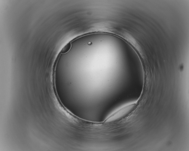 X0000089341339200706221109
