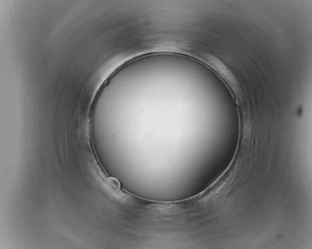 X0000089341340200706221109