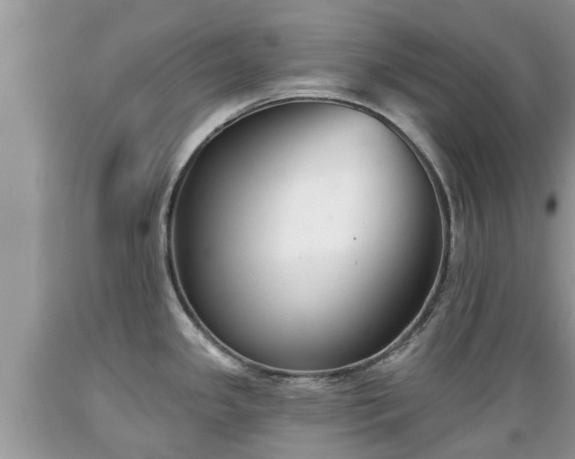 X0000089341341200706221109