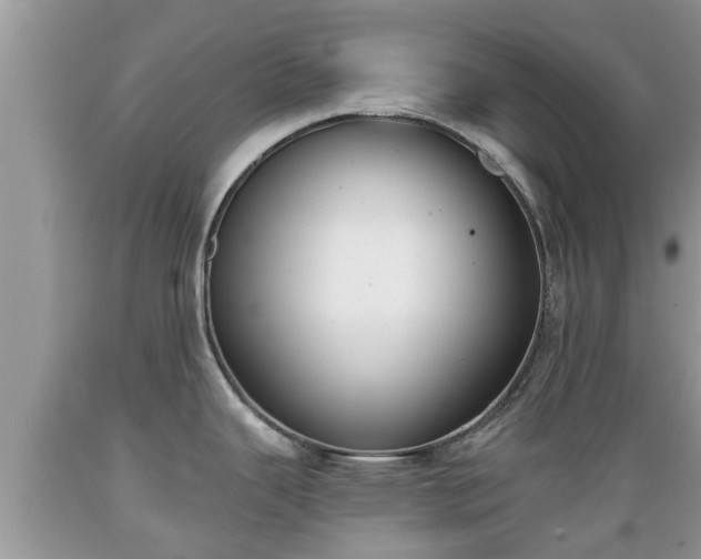 X0000089341343200706221109