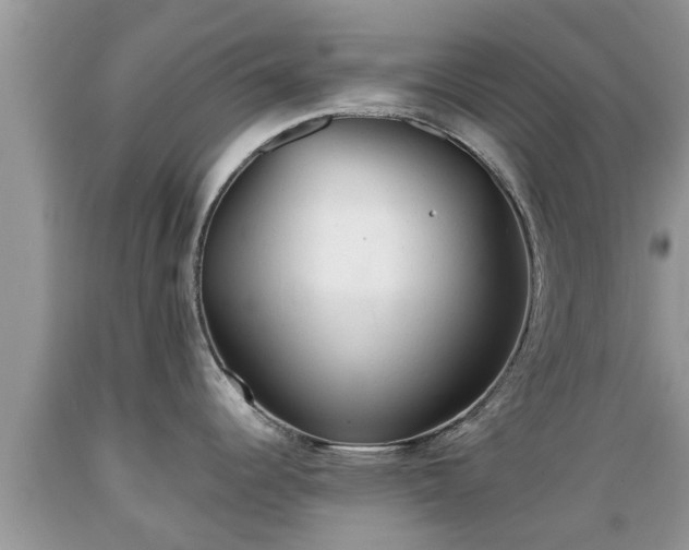 X0000089341344200706221109
