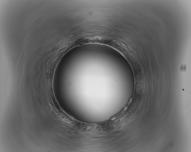 X0000089341345200706221109
