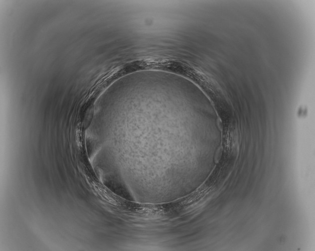 X0000089341346200706221109