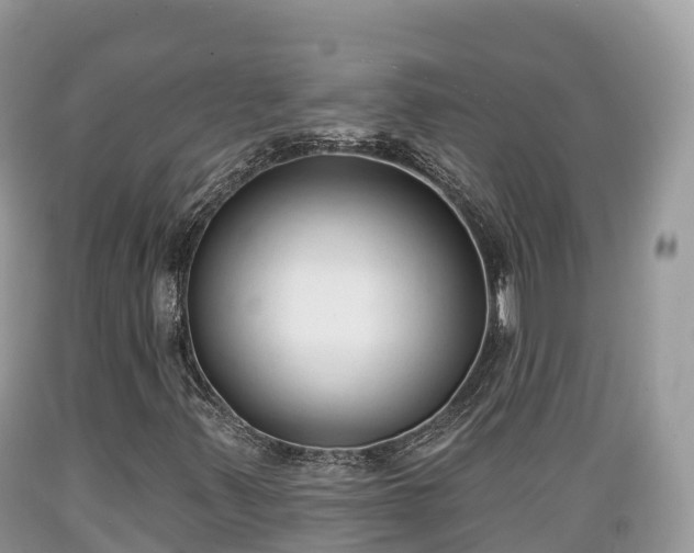 X0000089341347200706221109