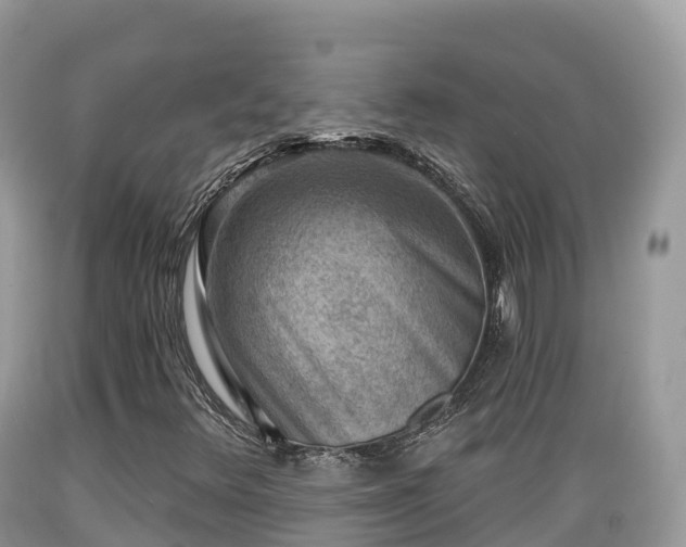 X0000089341348200706221109