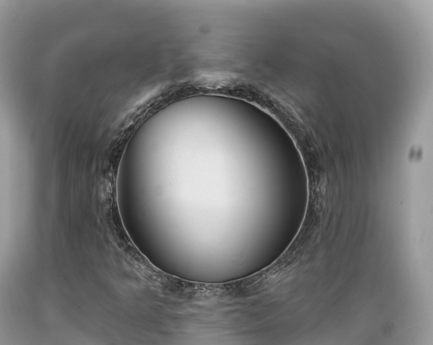 X0000089341349200706221109