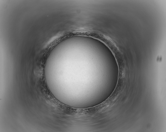 X0000089341350200706221109