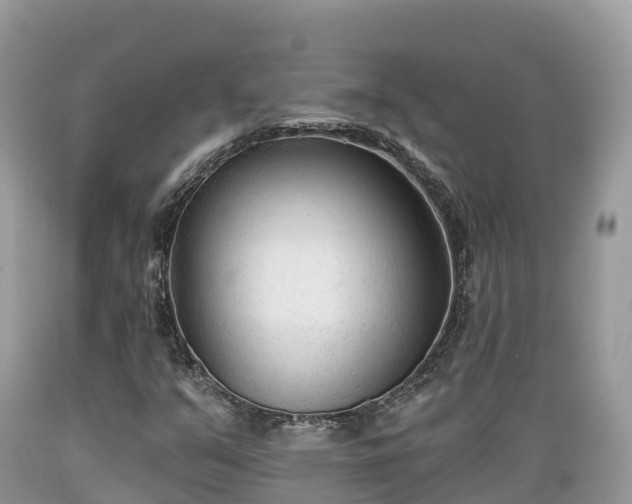 X0000089341351200706221109