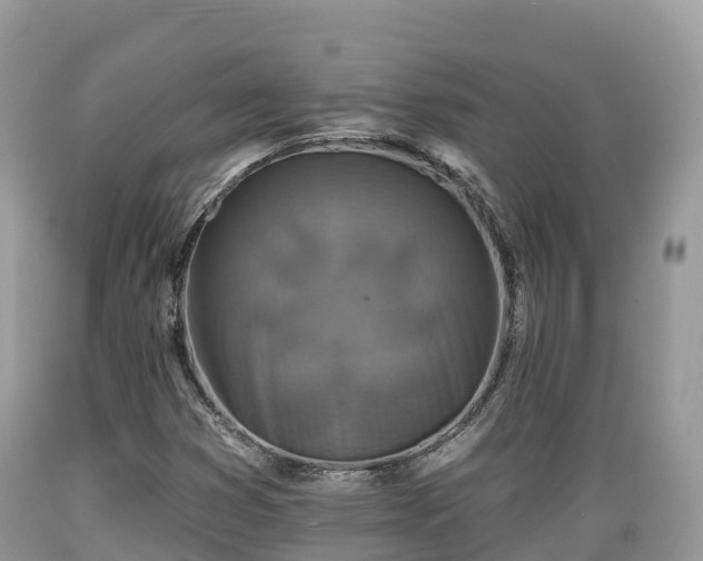 X0000089341353200706221109