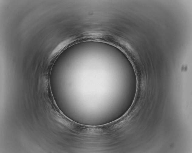 X0000089341354200706221109