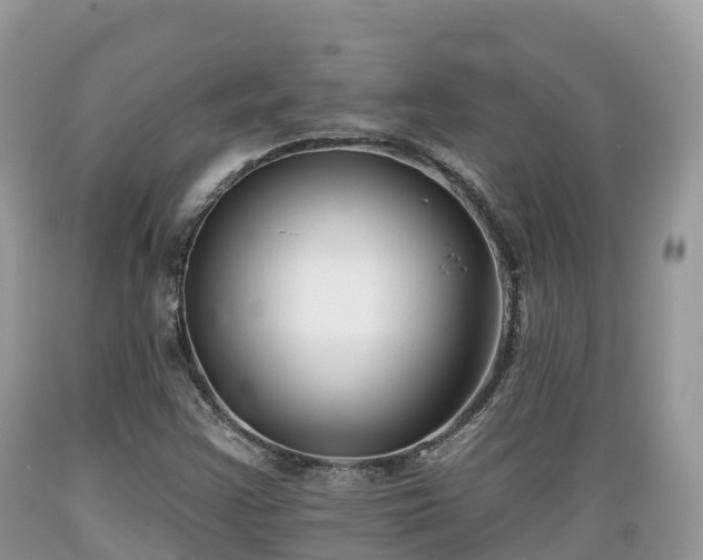 X0000089341355200706221109