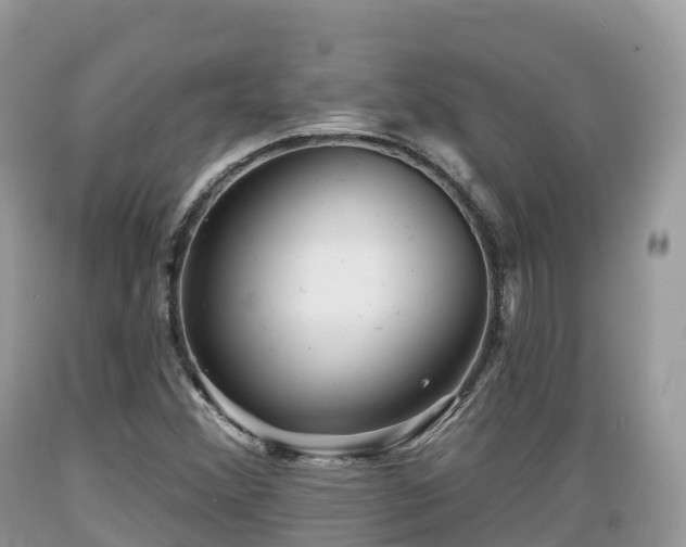 X0000089341356200706221109