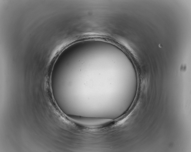 X0000089341357200706221109