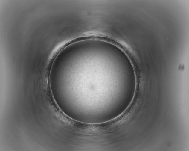X0000089341358200706221109