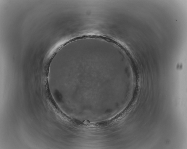 X0000089341359200706221108