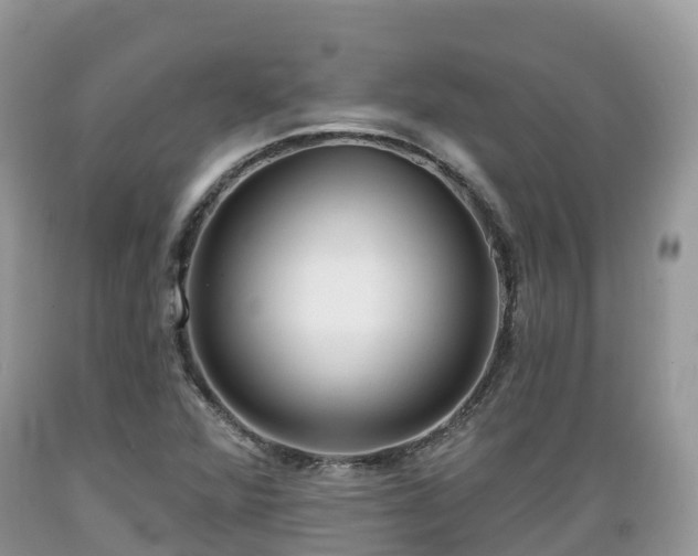 X0000089341360200706221108