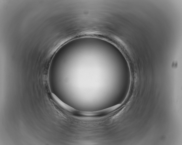 X0000089341361200706221108