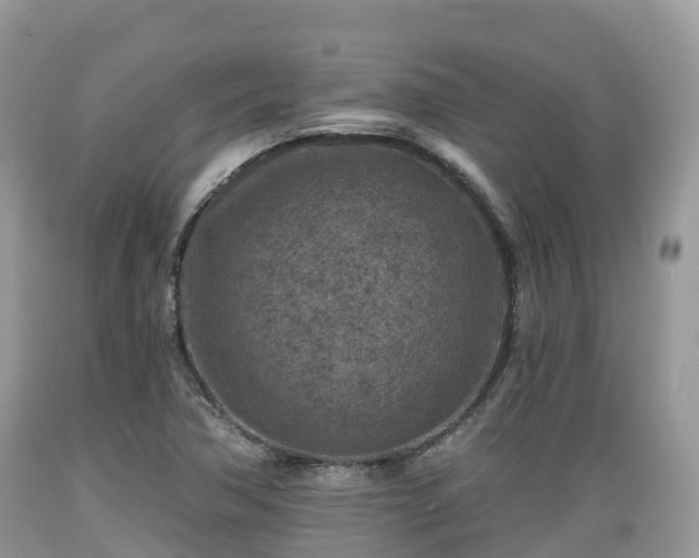 X0000089341362200706221108