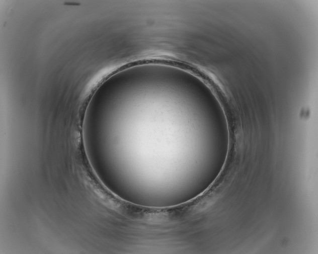 X0000089341363200706221108