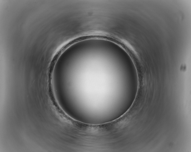 X0000089341364200706221108