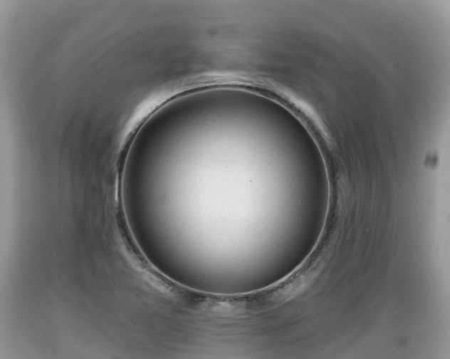 X0000089341365200706221108