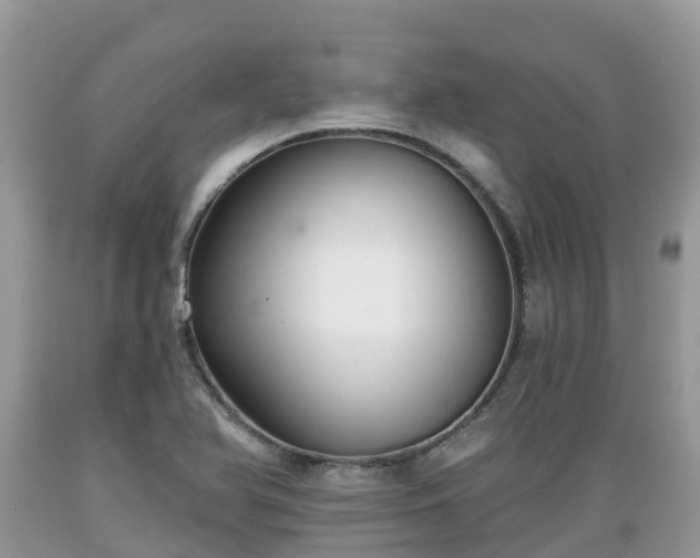 X0000089341366200706221108