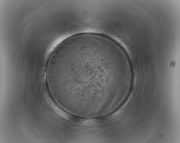 X0000089341367200706221108