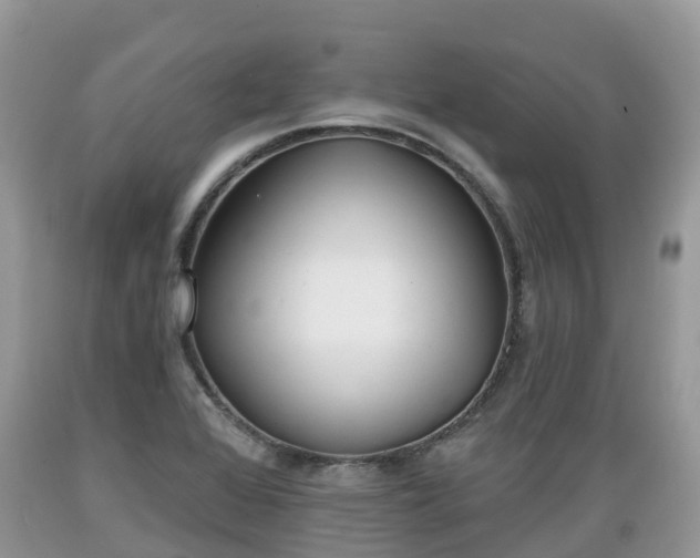 X0000089341368200706221108