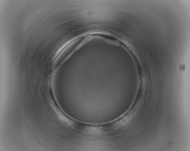 X0000089341369200706221108