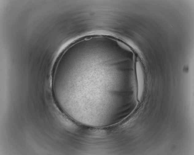 X0000089341372200706221108