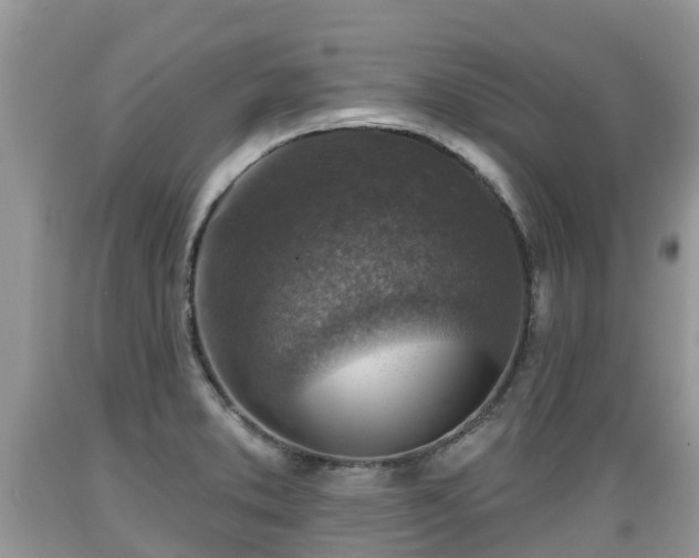 X0000089341373200706221108