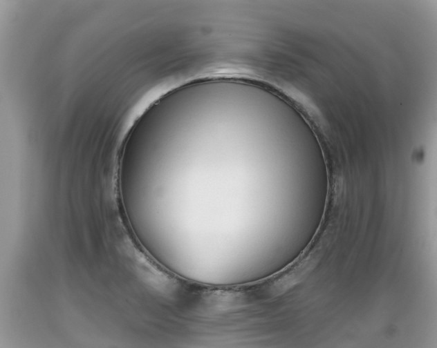 X0000089341374200706221108