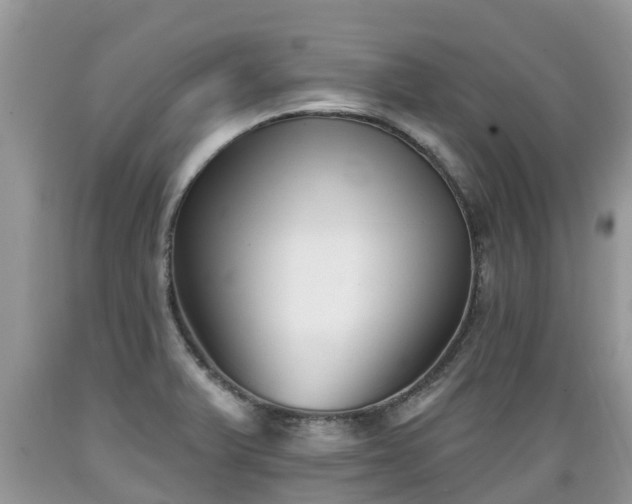 X0000089341375200706221108