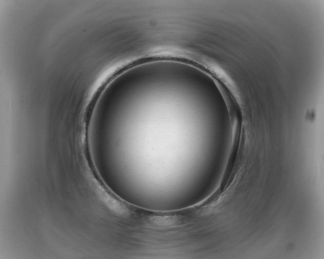 X0000089341376200706221108