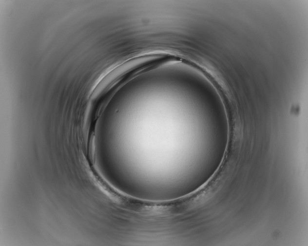 X0000089341377200706221108