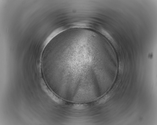 X0000089341378200706221108