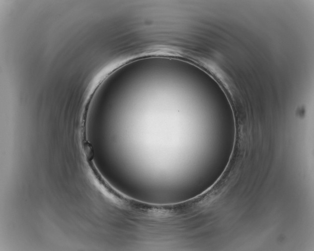 X0000089341379200706221108