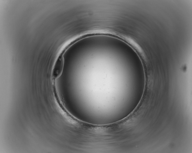 X0000089341380200706221108