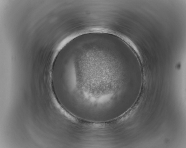X0000089341381200706221108