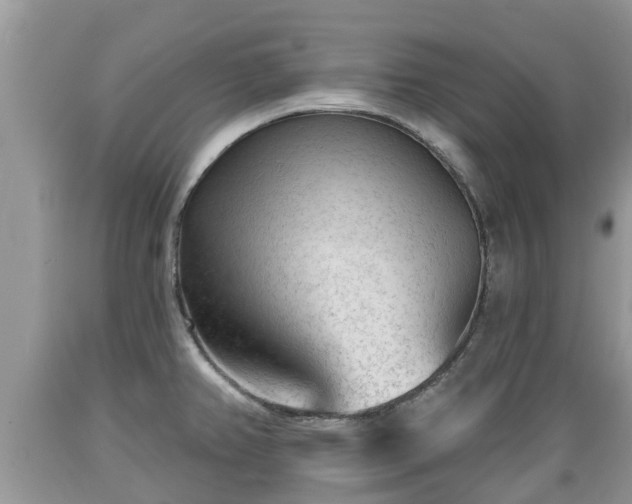 X0000089341382200706221108