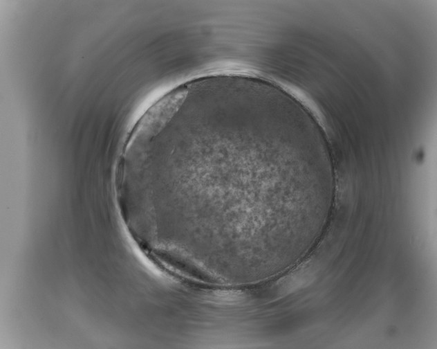 X0000089341383200706221108