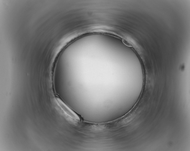 X0000089341384200706221108