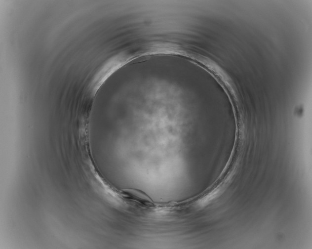 X0000089341385200706221108